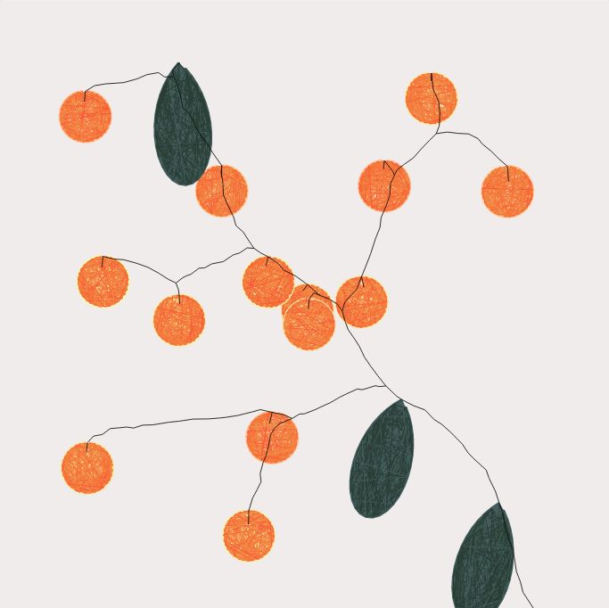 Draw 12 points randomly, but make sure they are equally distributed on the canvas. Using a space colonization algorithm, draw a slightly shaky line from the bottom right corner and reach each point. You can branch from the main stem. When you reach a point, either draw a fruit or a leaf. Fruits are drawn using circles. Leaves are drawn using half of the inner loop of a Trisectrix of Maclaurin curve. The point of the loop should be aligned with the branch that reached the point. When the algorithm fails to produce a tree longer than 30 segments, draw a yellow circle in the middle of the canvas.